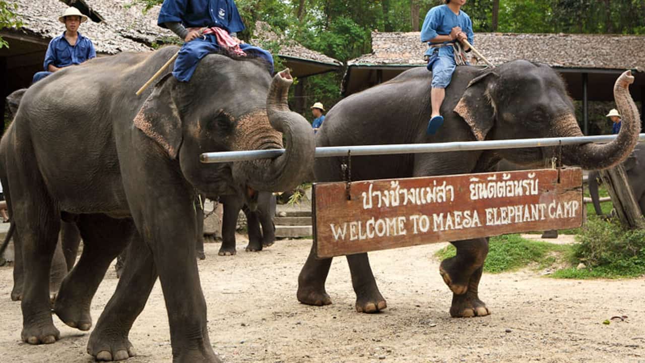 Kinh nghiệm và lịch trình du lịch tự túc cho du khách tại Chiang Mai 
