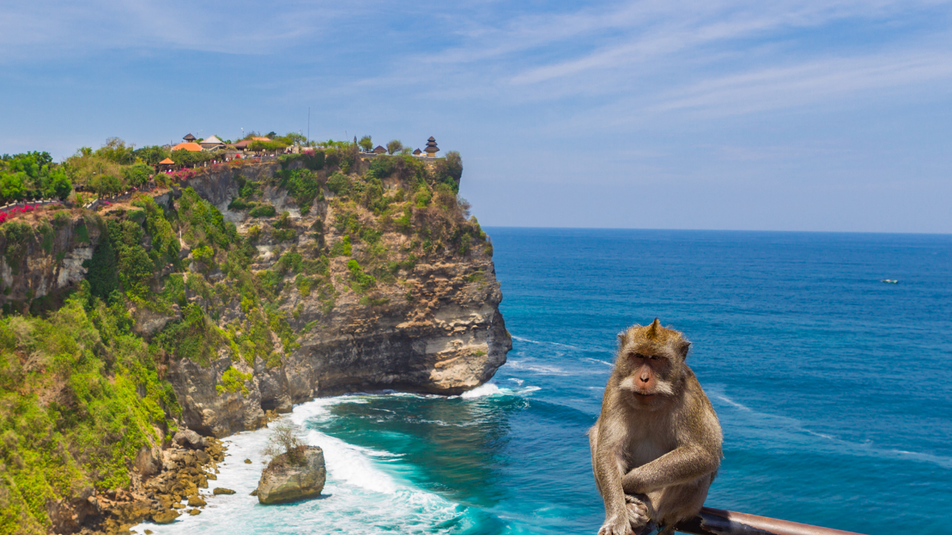 Rừng khỉ Uluwatu là một trong những địa điểm du lịch hấp dẫn ở Bali