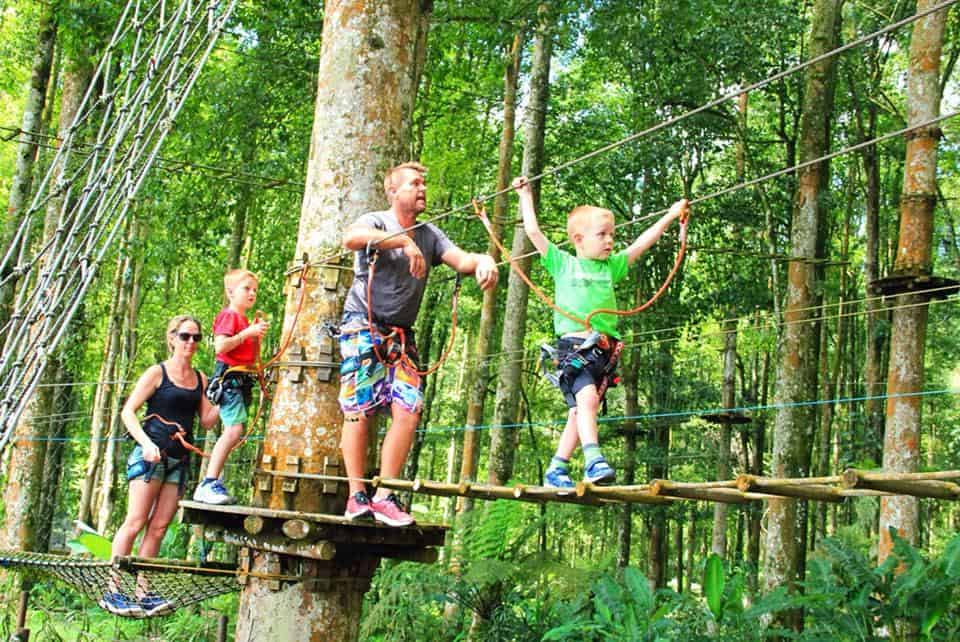 Bali Treetop Adventure Park là công viên giải trí nằm trong rừng