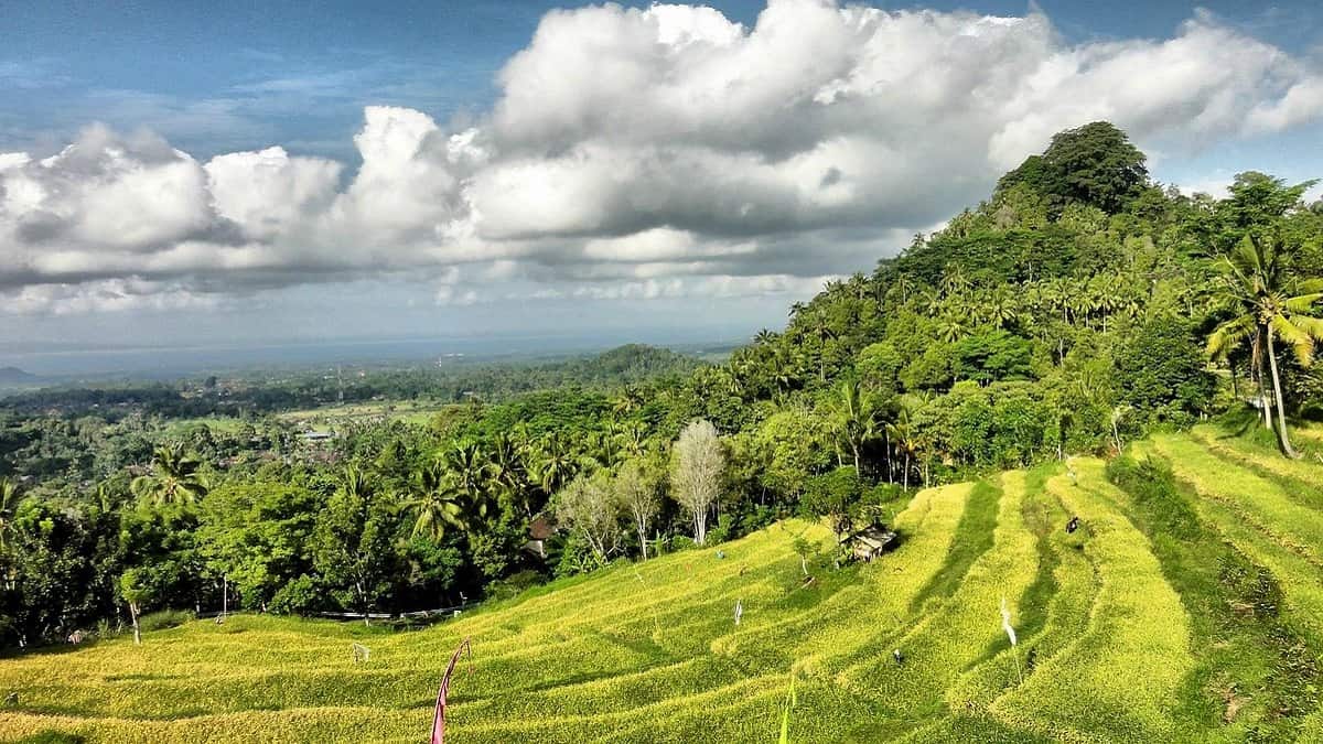 Kinh nghiệm đi tour những địa điểm du lịch và ruộng bậc thang Bukit Jambul tự túc ở Bali 