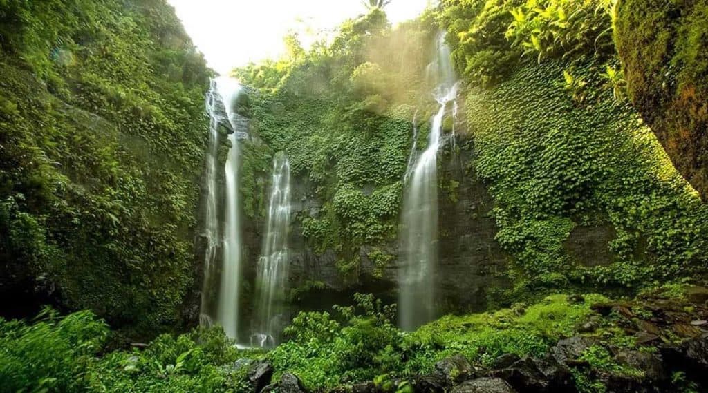 Kinh nghiệm đi tour những địa điểm du lịch tự túc ở Bali - thác NungNung
