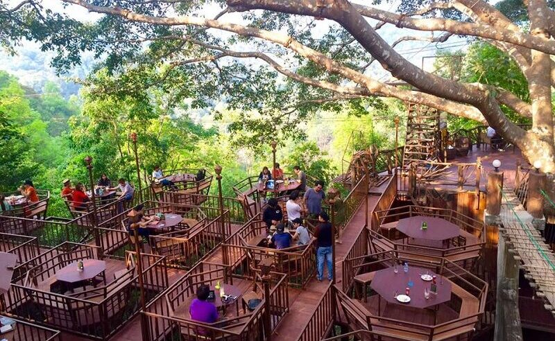 kinh nghiệm du lịch quán cafe trên cây đẹp ở Chiang Mai