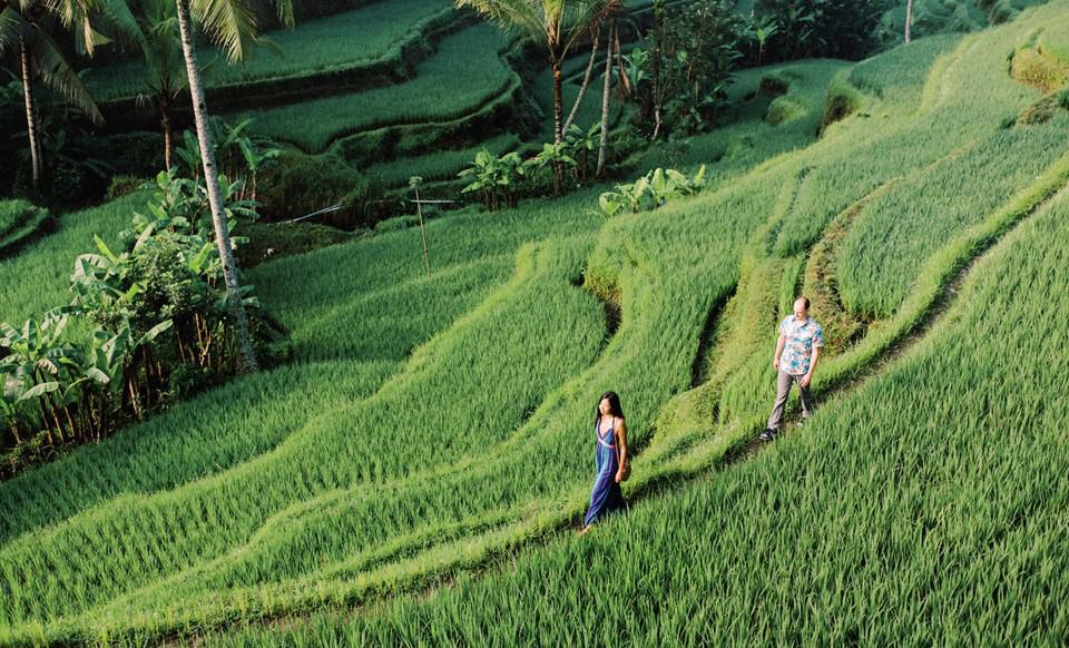 kinh nghiệm du lịch tự túc ruộng bậc thang Tegalalang Rice Terrace ở Bali: nằm ở đâu, đi mùa nào