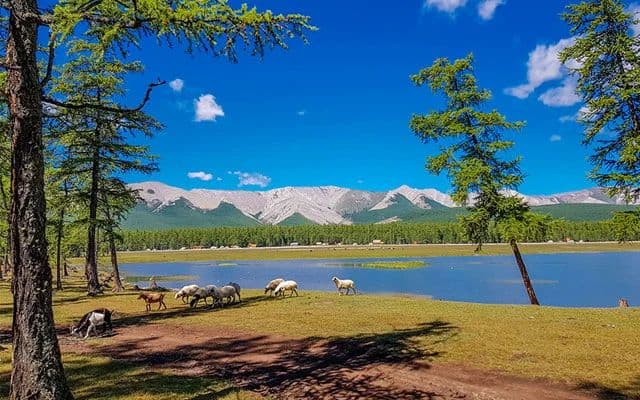 Bỏ túi kinh nghiệm du lịch tự túc bật mí cách đặt tour trải nghiệm khám phá địa điểm sinh thái hồ Khuvsgel tại Mông Cổ