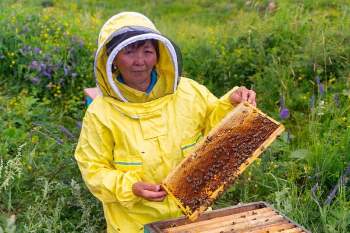Ẩm thực Mông Cổ qua bánh sữa, muối—đặc sản mua về làm quà và những lưu ý khi đi du lịch.