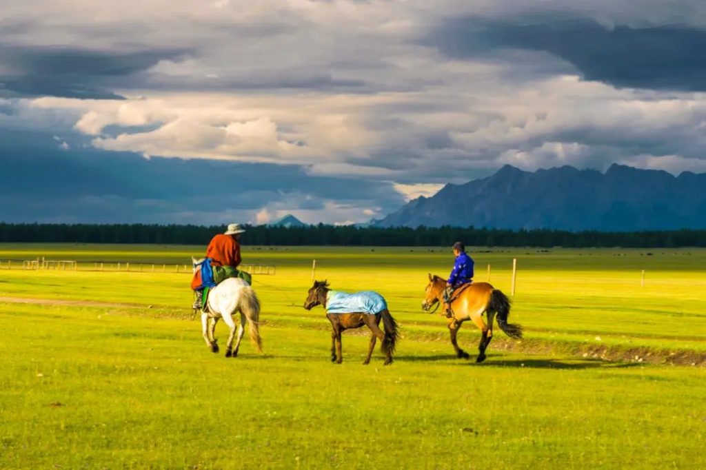 Khám phá tour du lịch Mông Cổ cho gia đình có trẻ em, cùng kinh nghiệm du lịch tự túc và chương trình phù hợp cho cả gia đình