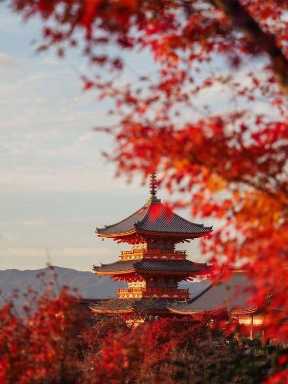 Du lịch Nhật Bản mùa nào đẹp nhất trong năm? kinh nghiệm du lịch tour tự túc