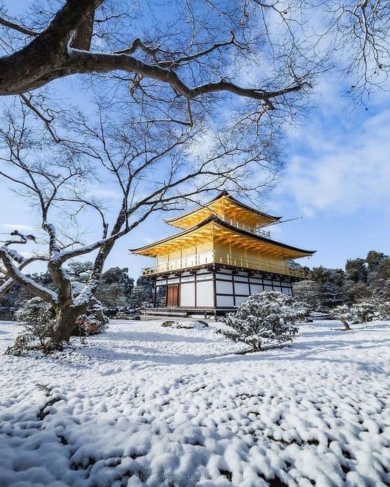 Du lịch Nhật Bản mùa nào đẹp nhất trong năm? kinh nghiệm du lịch tour tự túc