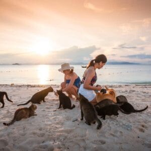 COMBO Tour du lịch nghỉ dưỡng Phuket - Koh Phi Phi - Đảo mèo dành cho các tín đồ yêu mèo 5 NGÀY 4 ĐẾM