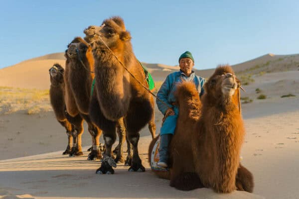 du lịch sa mạc Gobi Key phụ: Tour du lịch mông cổ Du lịch mông cổ Khám phá mông cổ Điểm đến mông cổ