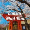 Tour du lịch Nhật Bản tháng 4 trọn gói: tham quan thành phố Tokyo, Osaka, Kyoto, Nagoya, du lịch Phú Sĩ giá rẻ, HDV giàu kinh nghiệm, đặt online giảm 15%,..