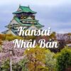 Du lịch Nhật Bản tháng 3: Khám phá Tokyo, Kansai 6 ngày 5 đêm, ngắm núi Phú Sĩ, khởi hành từ Hà Nội, tour trọn gói giá rẻ, HDV uy tín, đặt online giảm 15%..
