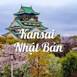 Du lịch Nhật Bản tháng 3: Khám phá Tokyo, Kansai 6 ngày 5 đêm, ngắm núi Phú Sĩ, khởi hành từ Hà Nội, tour trọn gói giá rẻ, HDV uy tín, đặt online giảm 15%..